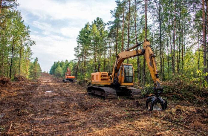 Understanding the Process, Benefits, and Best Practices of Land Clearing