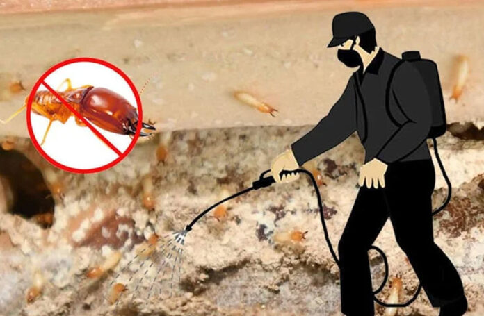 Choosing the Right Termite Treatment Methods for Effective Infestation Control and Property Protection