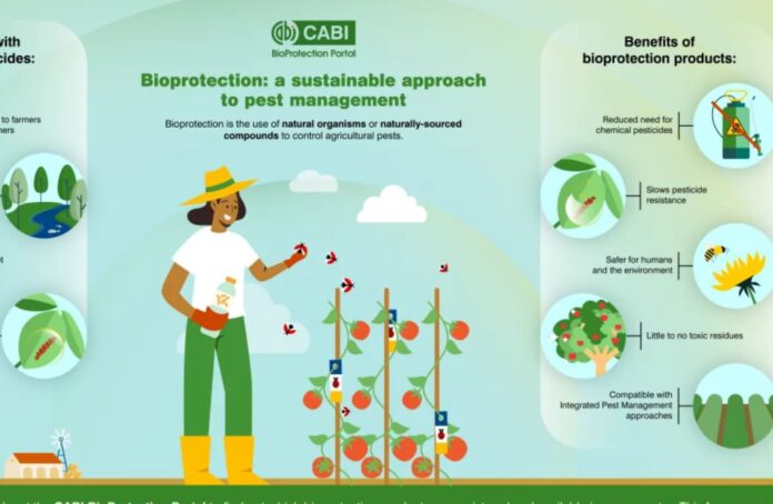 Everything You Need to Know About Biological Cleaning and Effective Contamination Control
