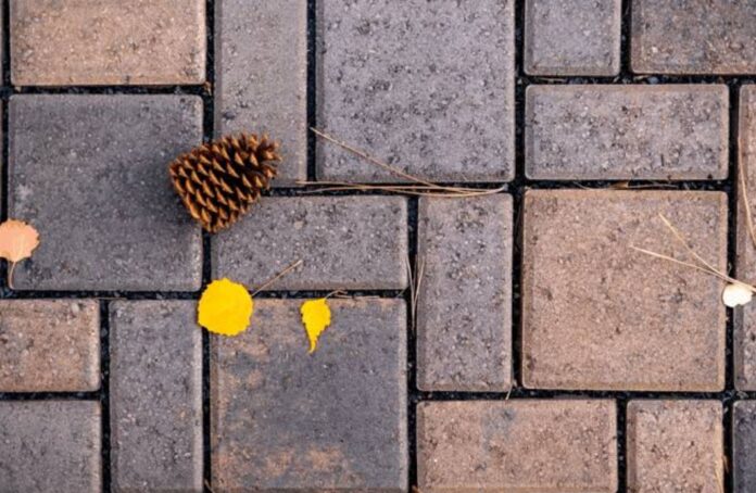 A Detailed Guide to Improving Paver Appearance, Preventing Damage, and Supporting Long-Term Durability